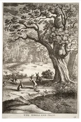 The Hares and Frogs
